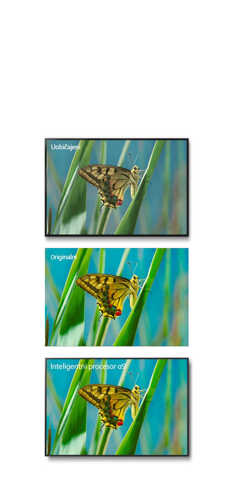 True Color Accuracy Pro2