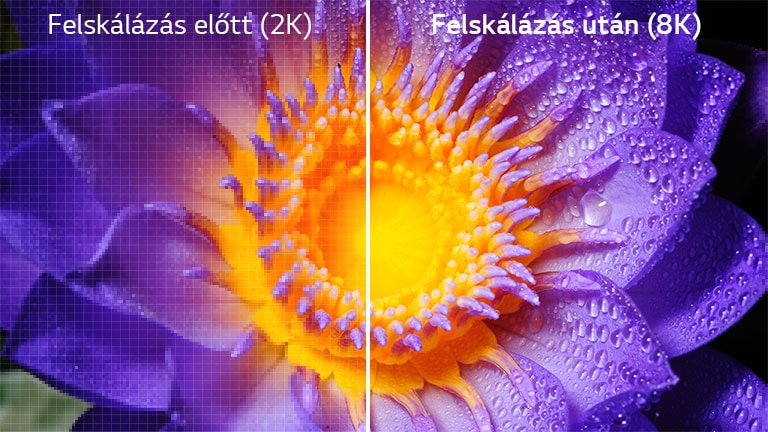 Egy virág képe a bal oldalon az eredeti 2K, a jobb oldalon pedig a felskálázott 8K felbontásban.