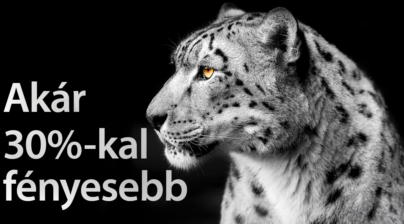 A kép bal oldalán egy fehér leopárd mutatja az oldalát. A bal oldalon az „Akár 30%-kal fényesebb" felirat jelenik meg.