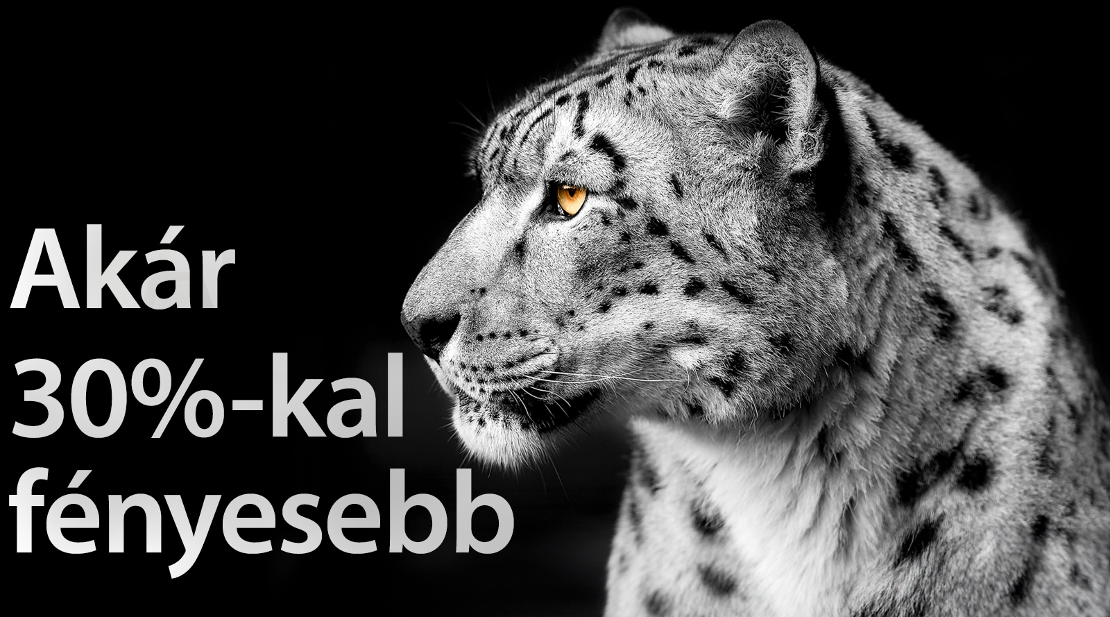 Fényesebb kép 1