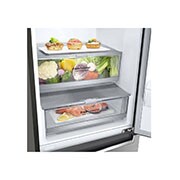 LG Alulfagyasztós hűtőszekrény, DoorCooling⁺™ és ThinQ™ technológia, 384L kapacitás, GBB72PZDMN, GBB72PZDMN, thumbnail 5