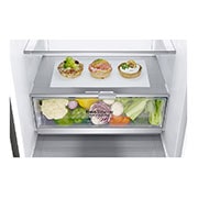LG Alulfagyasztós hűtőszekrény, DoorCooling⁺™ technológia, 384L kapacitás, GBB72PZEFN, thumbnail 4
