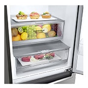 LG Alulfagyasztós hűtőszekrény, DoorCooling⁺™ és ThinQ™ technológia, 341L kapacitás, GBB71PZDFN, thumbnail 3