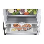 LG Alulfagyasztós hűtőszekrény, DoorCooling⁺™ technológia, 341L kapacitás, GBB71PZEFN, thumbnail 4