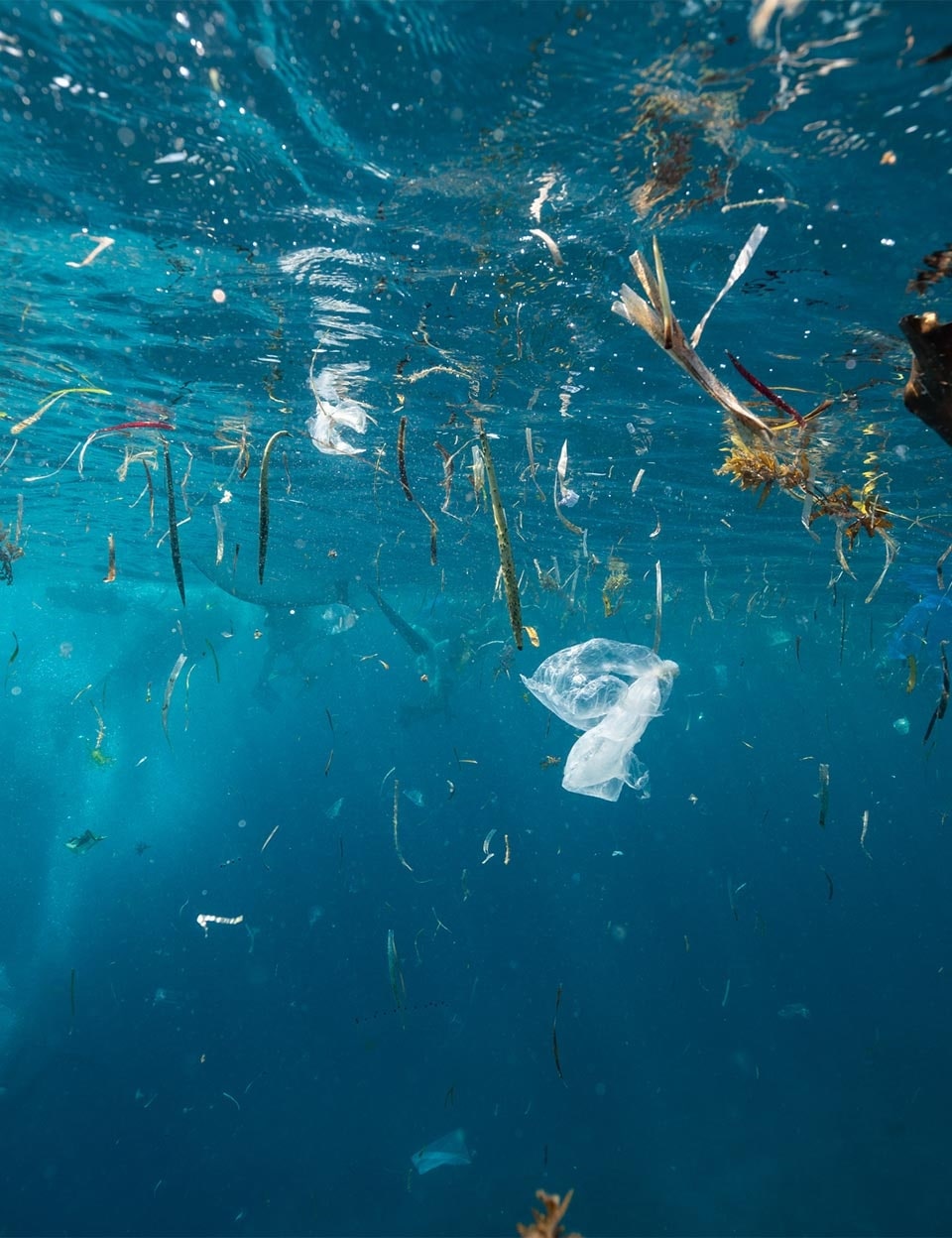 Plastic garbage floating in the blue ocean