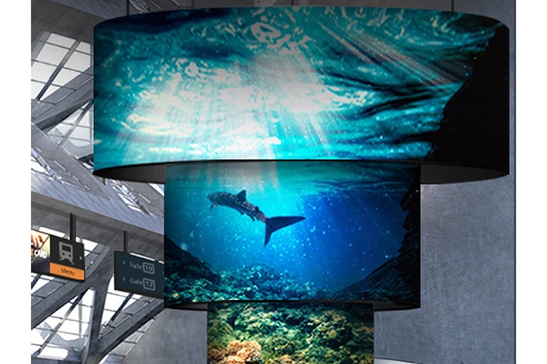 תצוגה מסחרית1