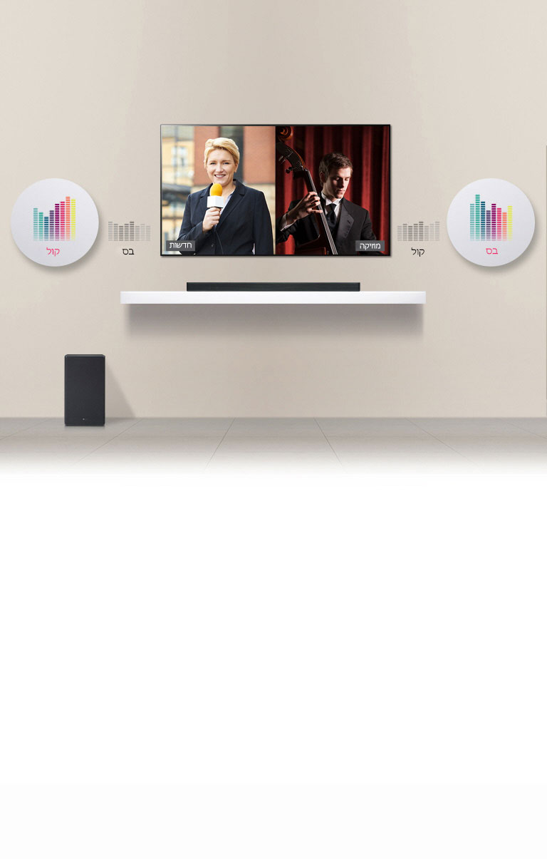 בקרת צליל מסתגלת2