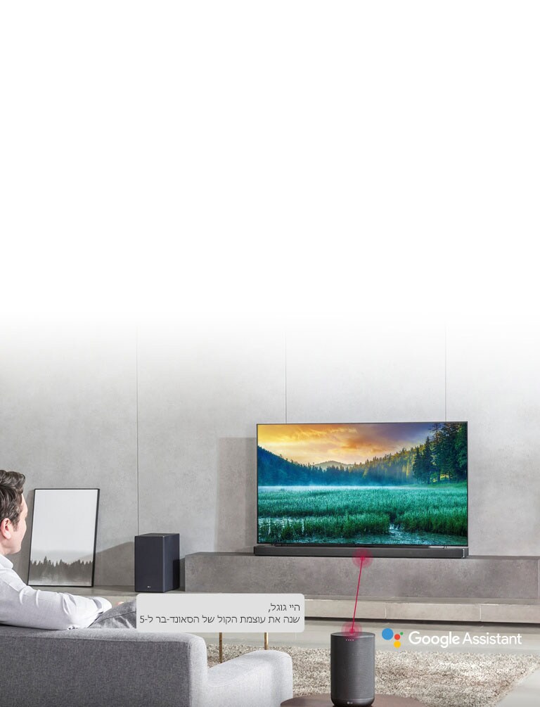 עובד בתיאום עם Google Assistant2