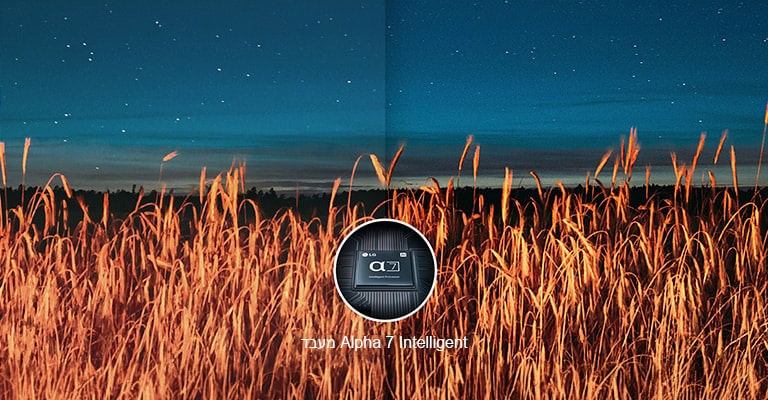 תמונת תצוגת הלילה מימין, שעברה אופטימיזציה עם המעבד Alpha 7 Intelligent, חדה ומפורטת יותר מתמונת תצוגת הלילה משמאל.