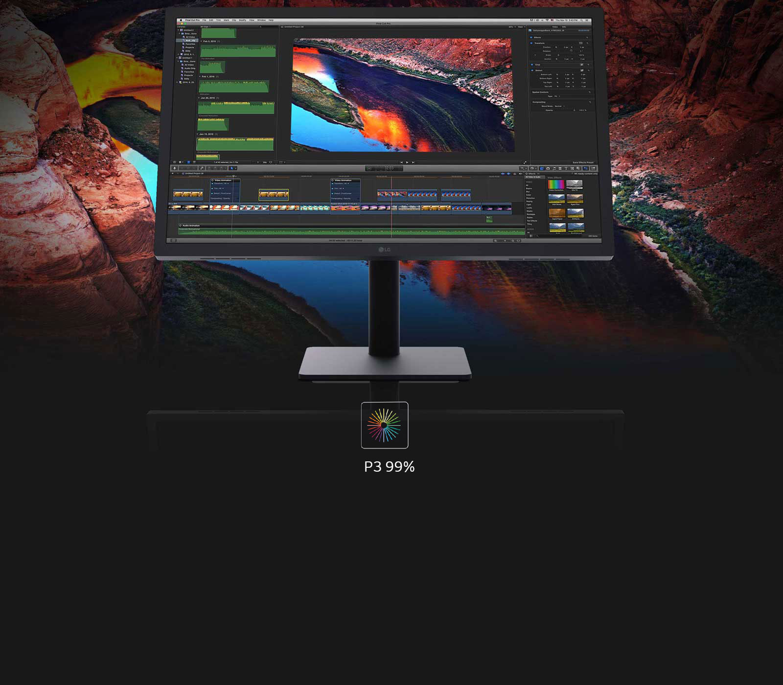 צבעים עשירים; פירוט משופר1