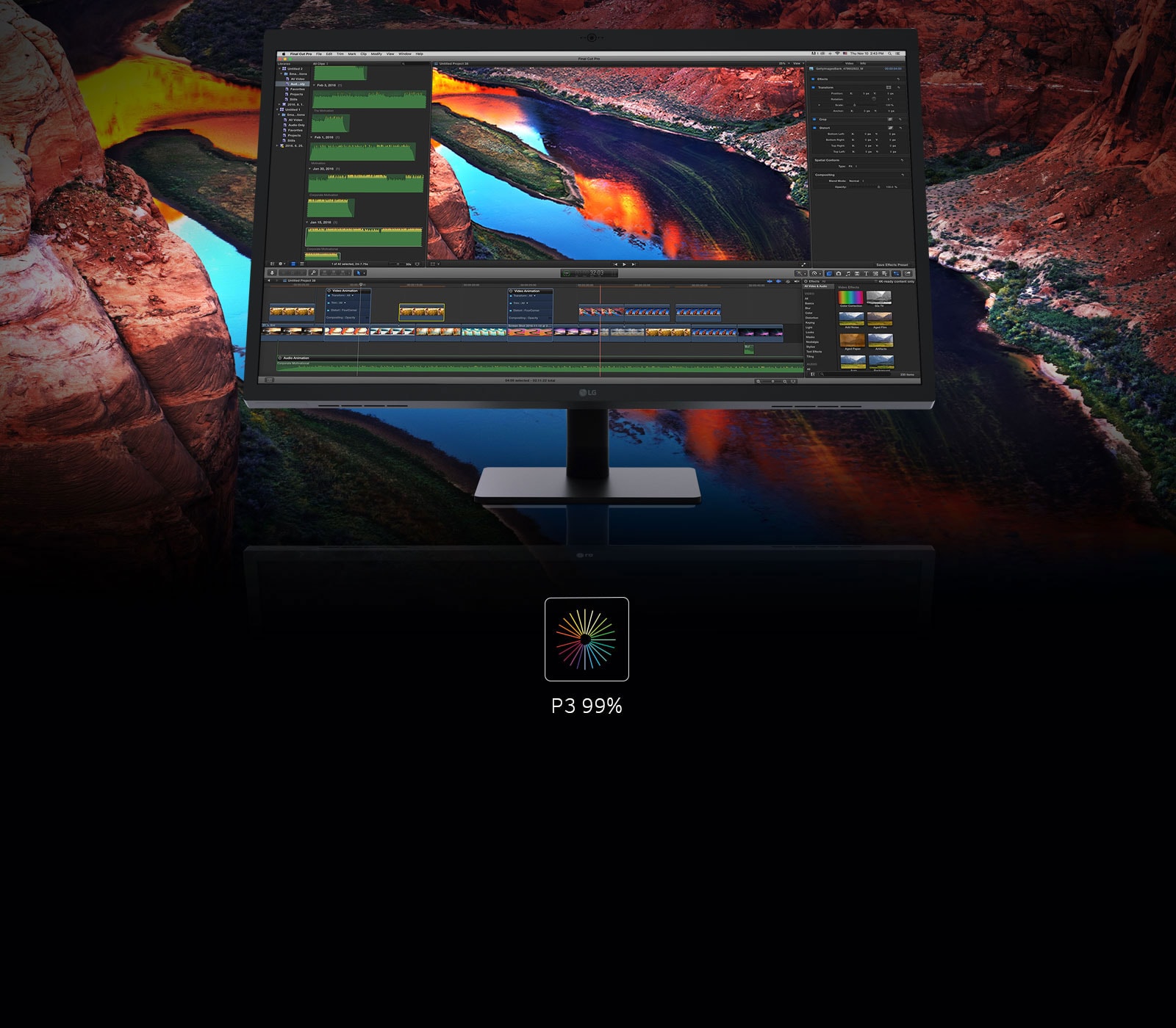 צבעים עשירים; פירוט משופר1