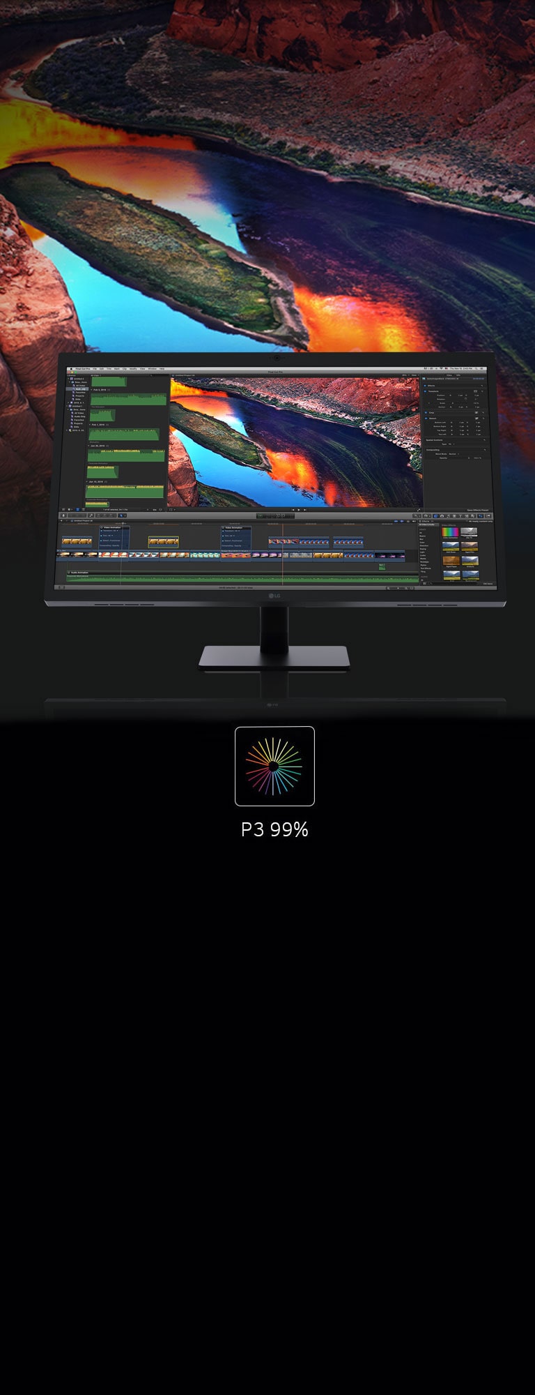 צבעים עשירים; פירוט משופר2