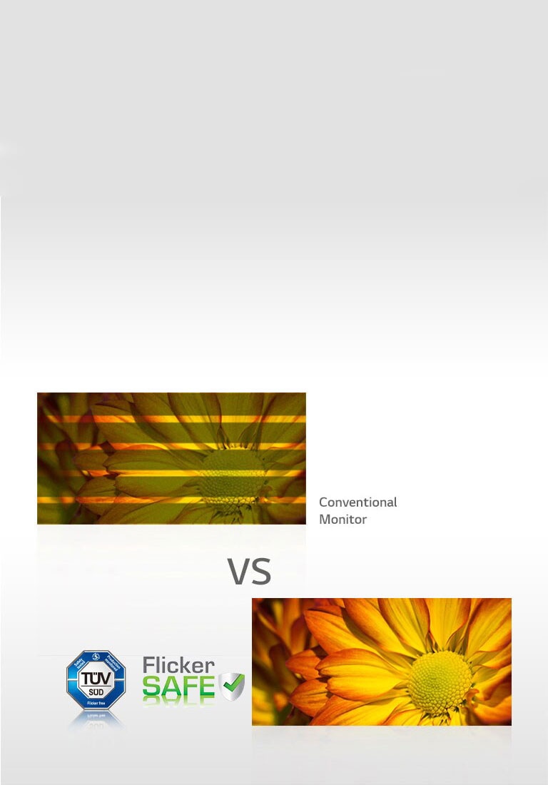 בטוח מפני הבהוב