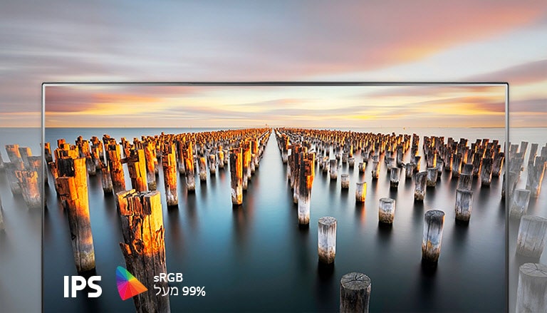 צבע אמיתי ותצוגה רחבה2