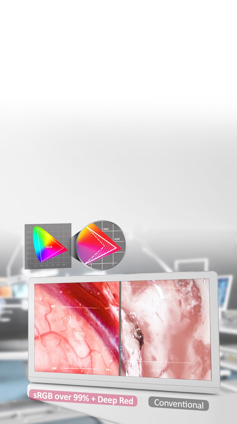 IPS ו-sRGB מעל 99 + אדום עמוק<br>2