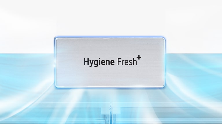 תמונה של מסנן +Hygiene Fresh שלוכד חיידקים הנישאים באוויר