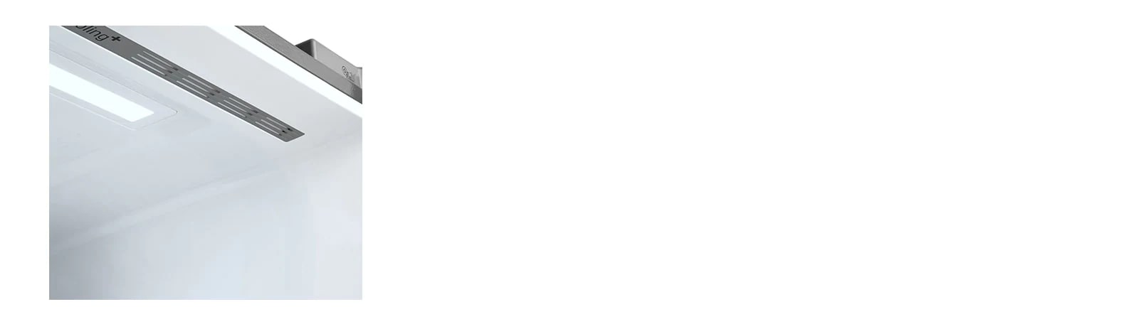 במוקד: טריות