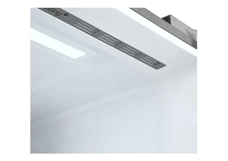 במוקד: טריות