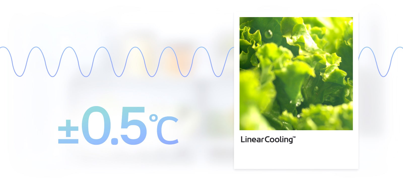 מקרר LG עם טכנולוגיית ™LinearCooling ממזער תנודות בטמפרטורה ומסייע בשמירת טריות המזון לאורך זמן.