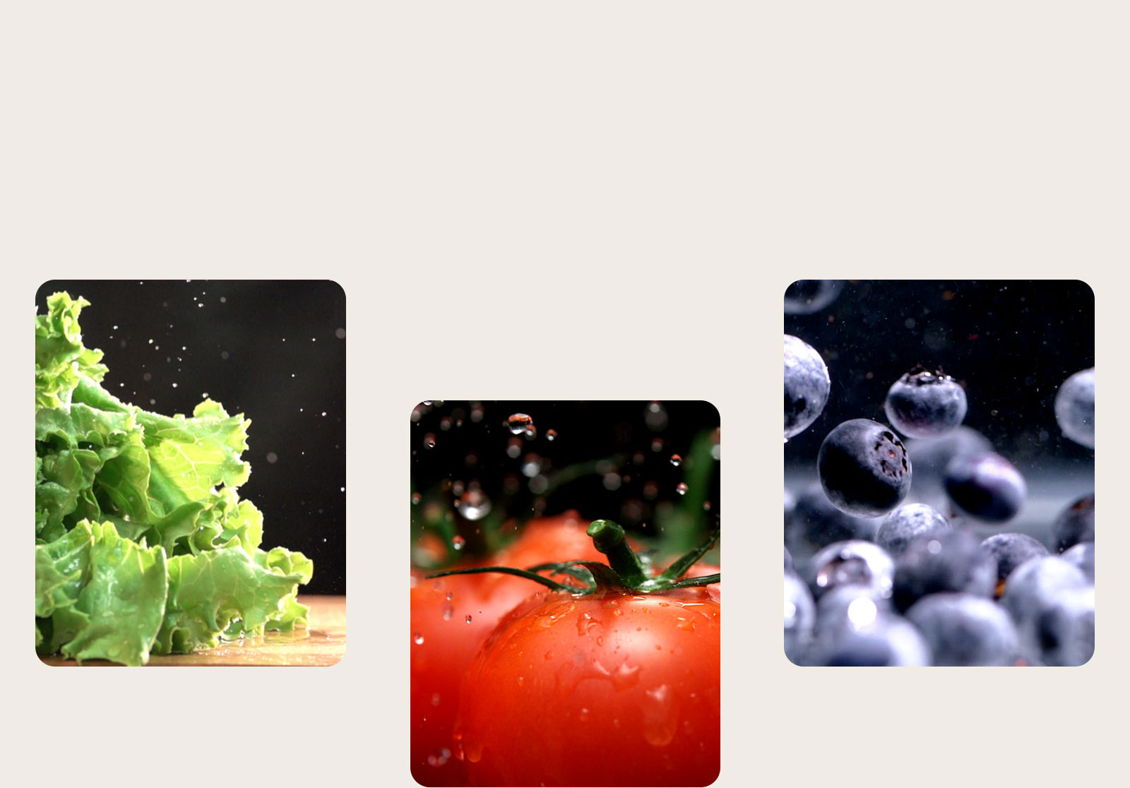 המוצר שומר על הטריות של פירות וירקות כמו למשל חסה, עגבניות ואוכמניות.