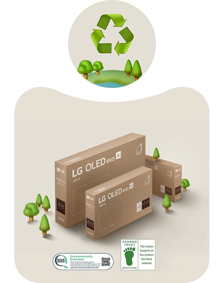 אריזת LG OLED על רקע בצבע בז' עם עצים מצוירים. 