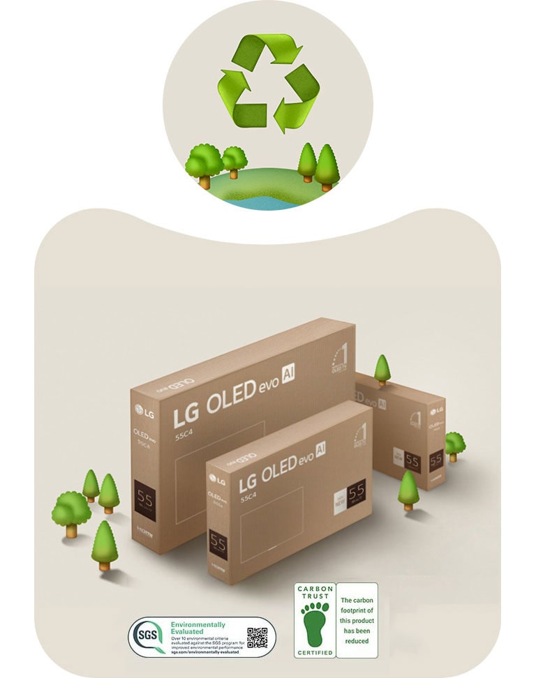 אריזת LG OLED על רקע בצבע בז' עם עצים מצוירים. 