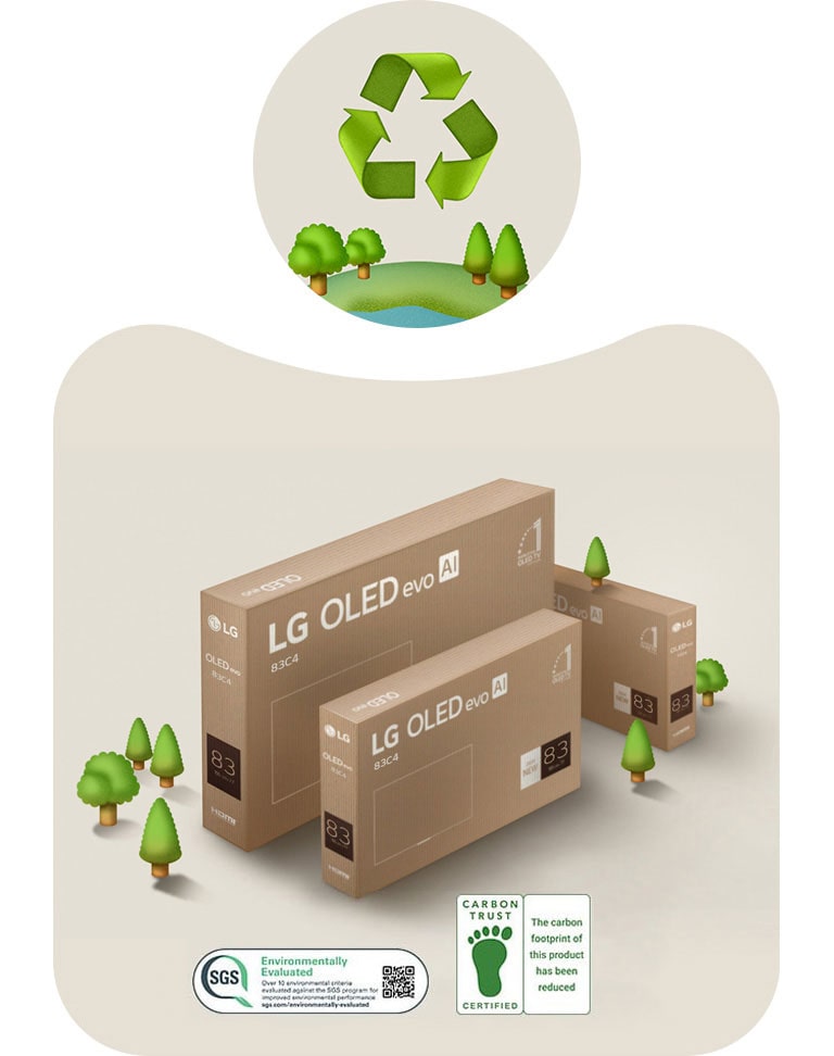 אריזת LG OLED על רקע בצבע בז' עם עצים מצוירים. 