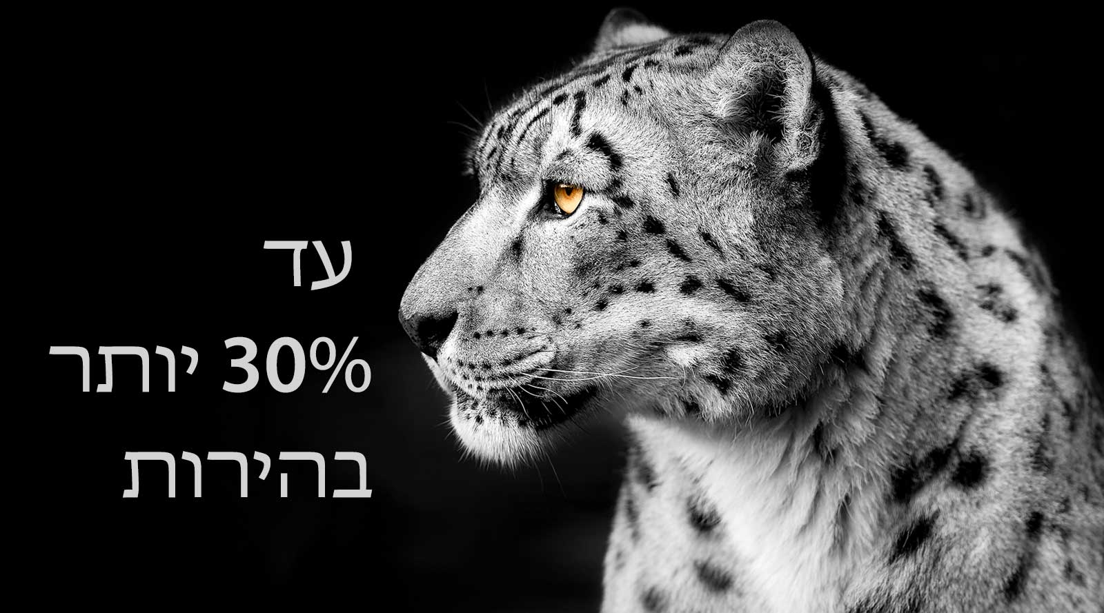 נמר לבן במבט מהצד בחלק השמאלי של התמונה. המילים "Up to 30% brighter" ("עד 30% יותר בהירות") מופיעות בצד שמאל.