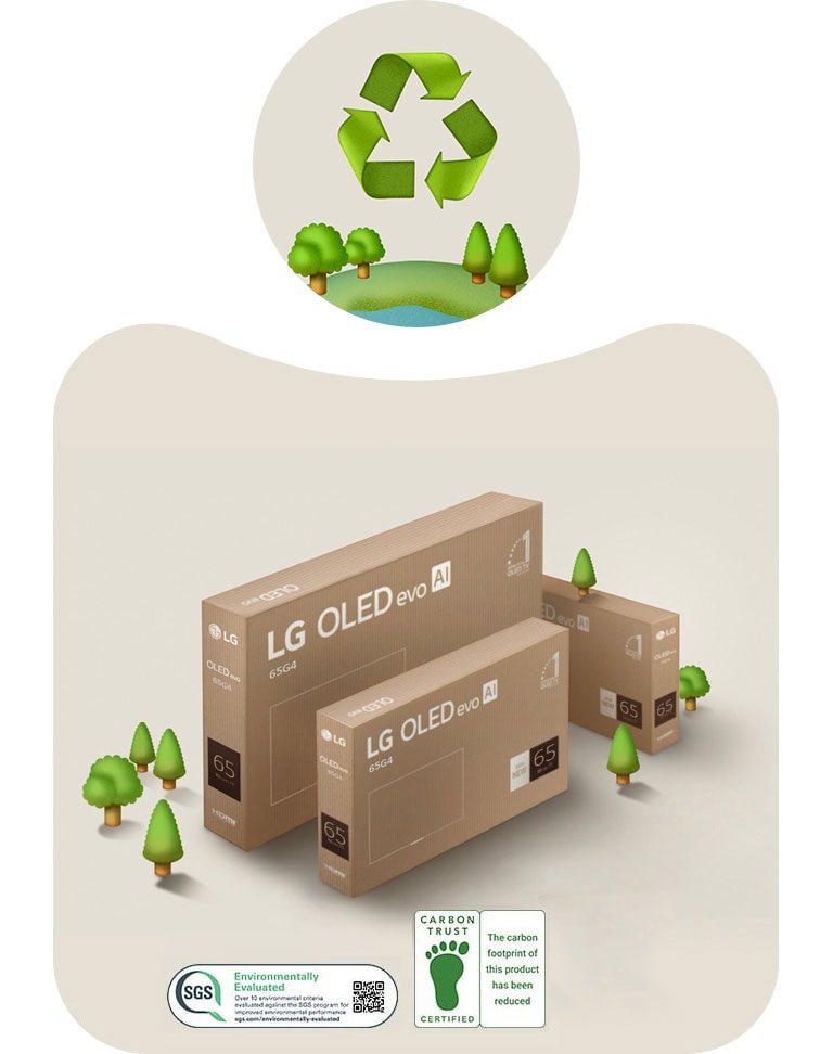 אריזת LG OLED על רקע בצבע בז' עם עצים מצוירים. 