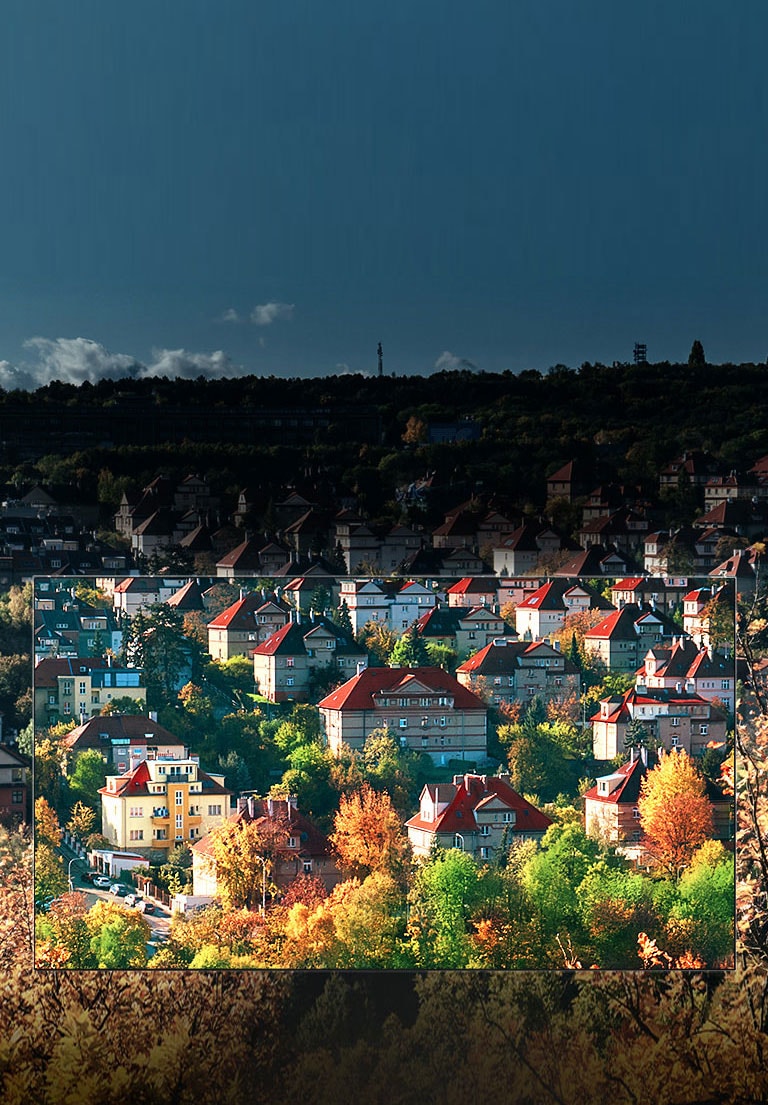 הצבעים המשגעים של תצוגת <br>™NanoCell2