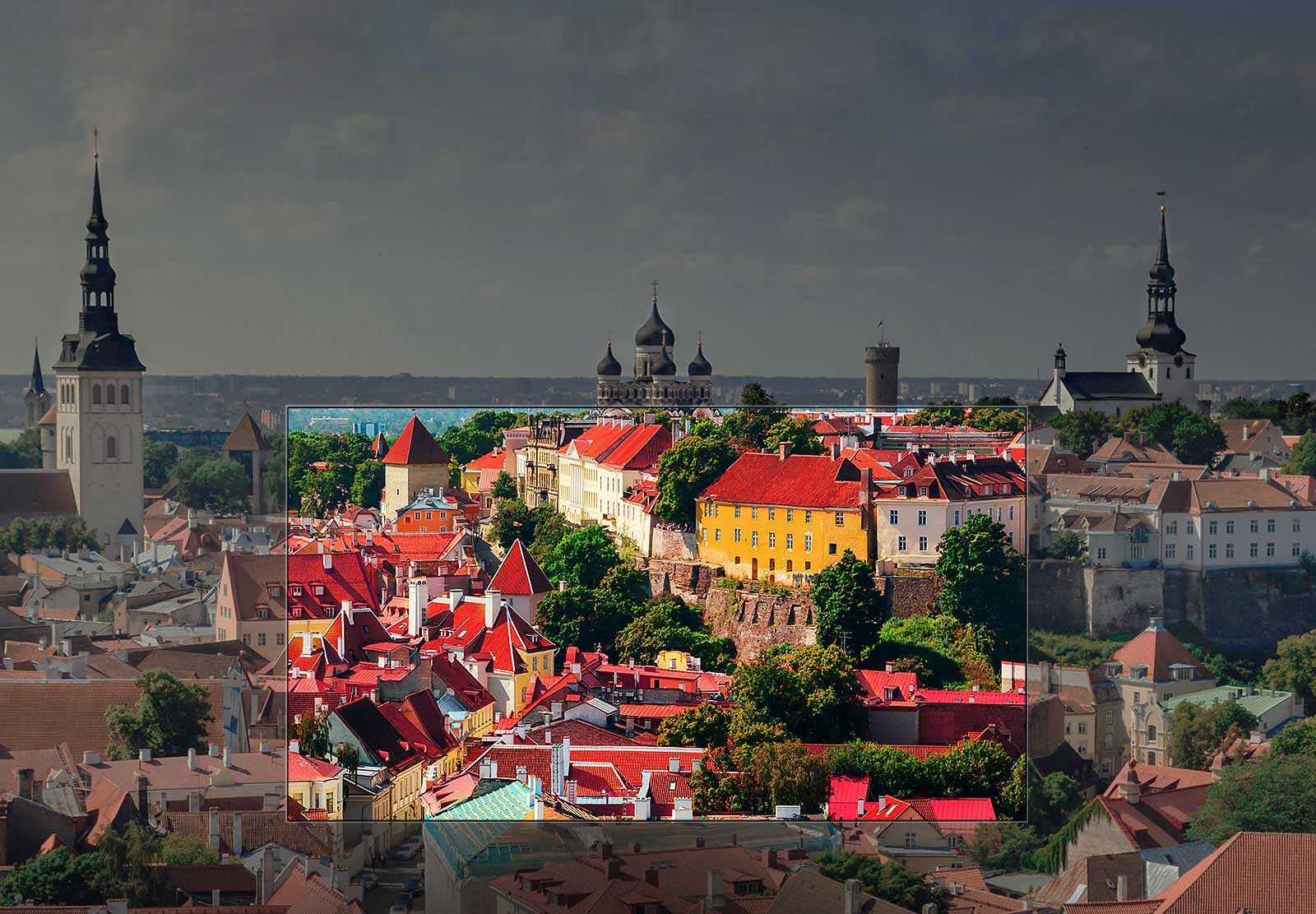 הצבעים המשגעים של תצוגת <br>™Nano Cell1