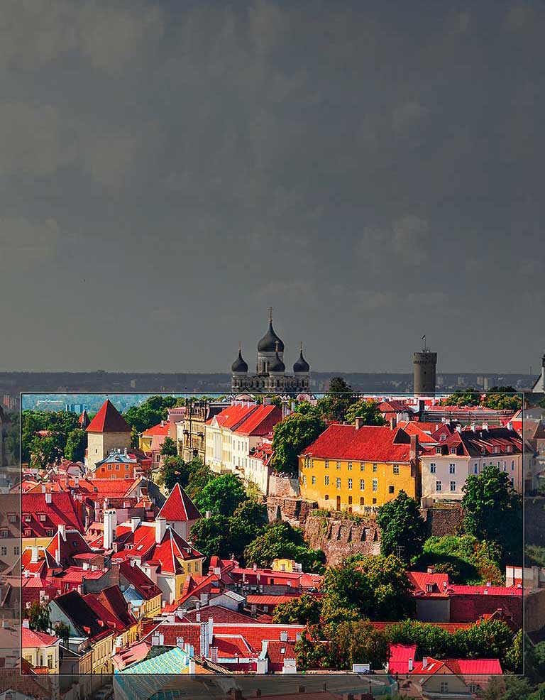 הצבעים המשגעים של תצוגת <br>™Nano Cell2