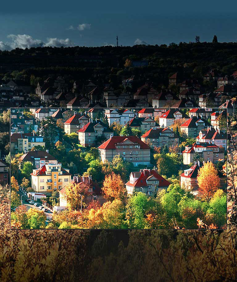 הצבעים המשגעים של תצוגת <br>™NanoCell2