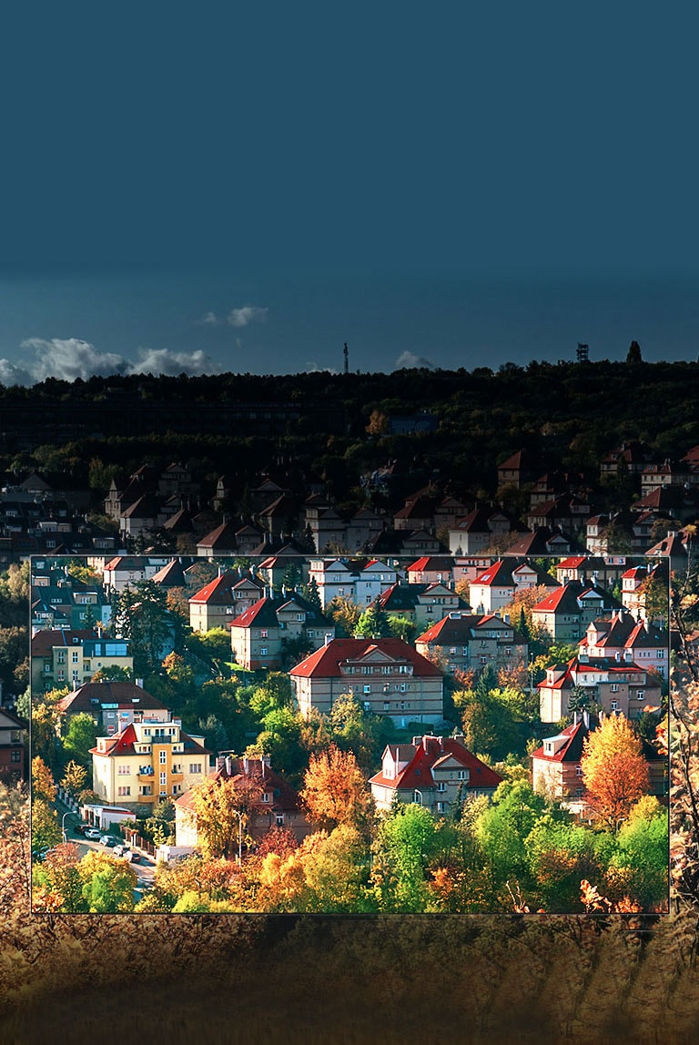 הצבעים המשגעים של תצוגת <br>™NanoCell2