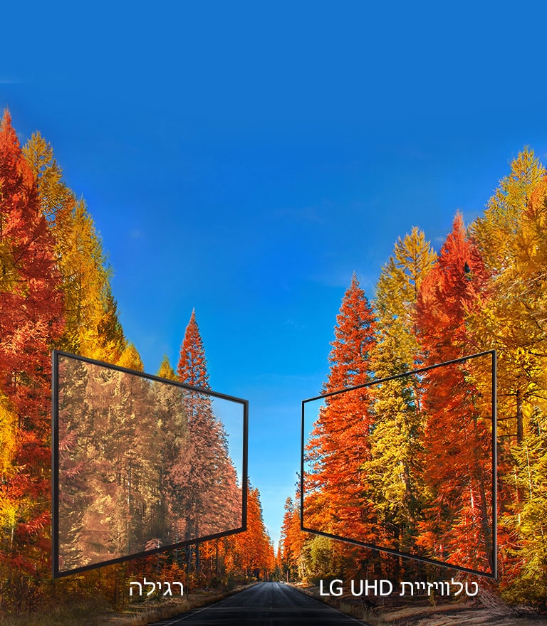 תמונה עקבית מכל זווית צפייה<br>2