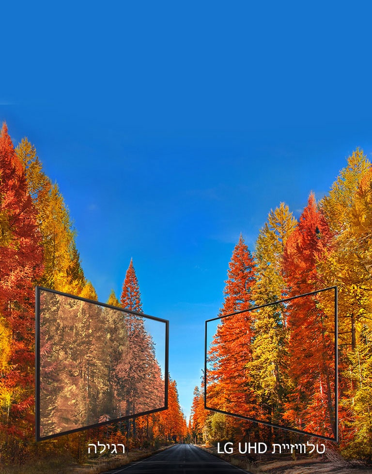 תמונה עקבית מכל זווית צפייה<br>2