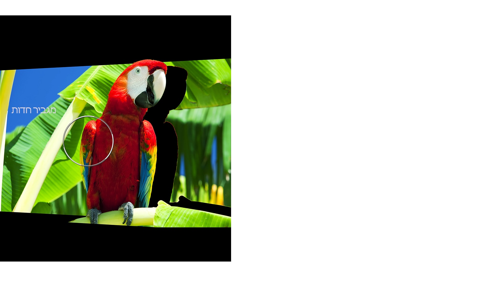 04_Alpha9_Sharpness_Enhancer_desktop01