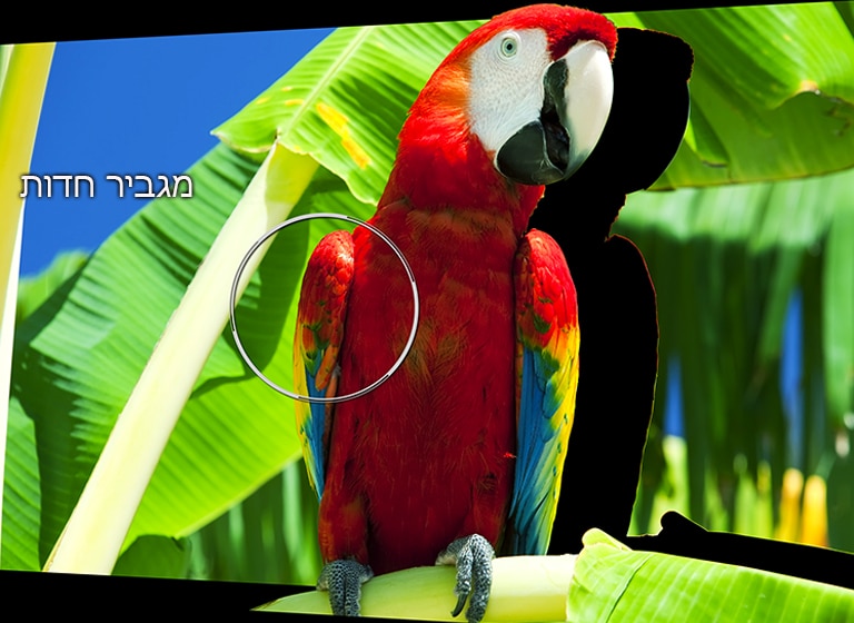 04_Alpha9_Sharpness_Enhancer_mobile01