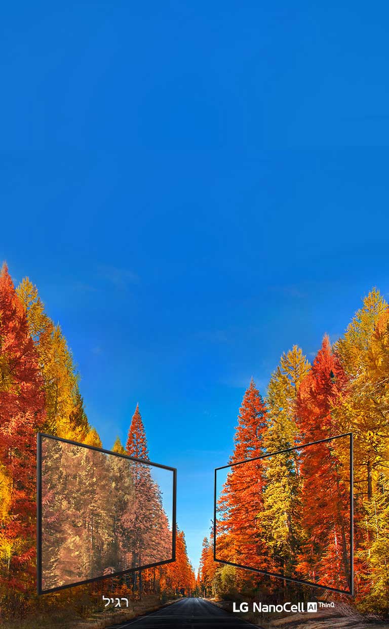 האמת שמאחורי צבעי הטלוויזיה2