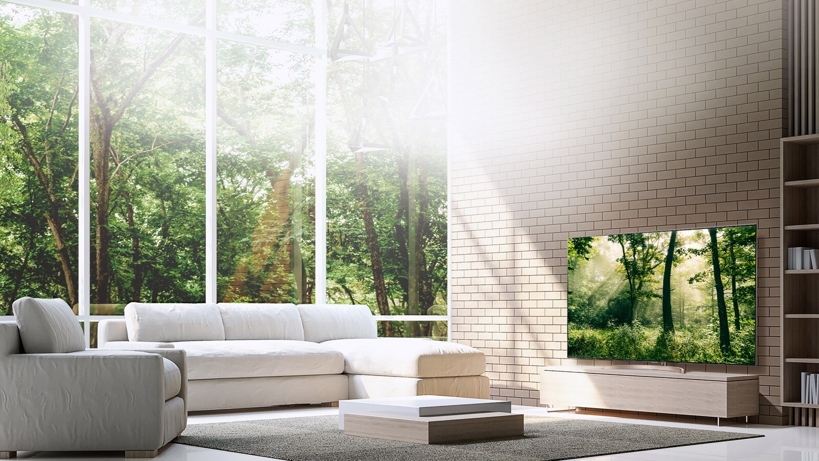 מסך קולנועי ללא גבולות1