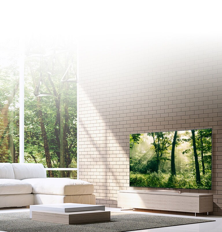 מסך קולנועי ללא גבולות2