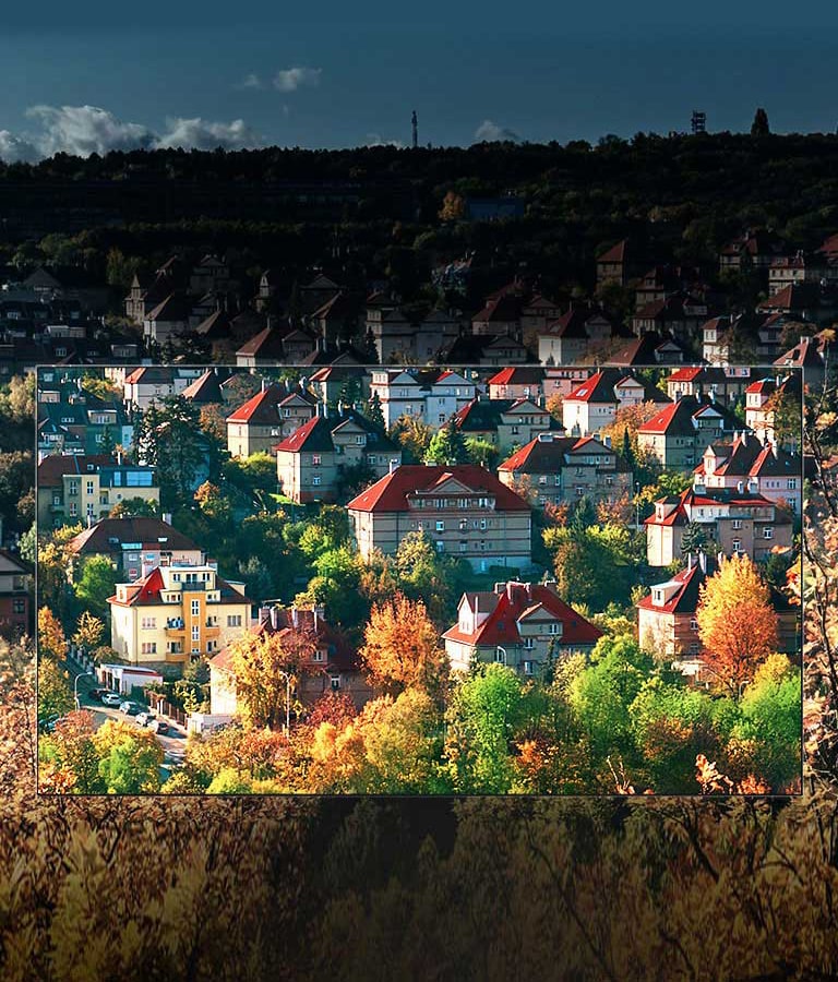 הצבעים המשגעים של תצוגת <br>™NanoCell2