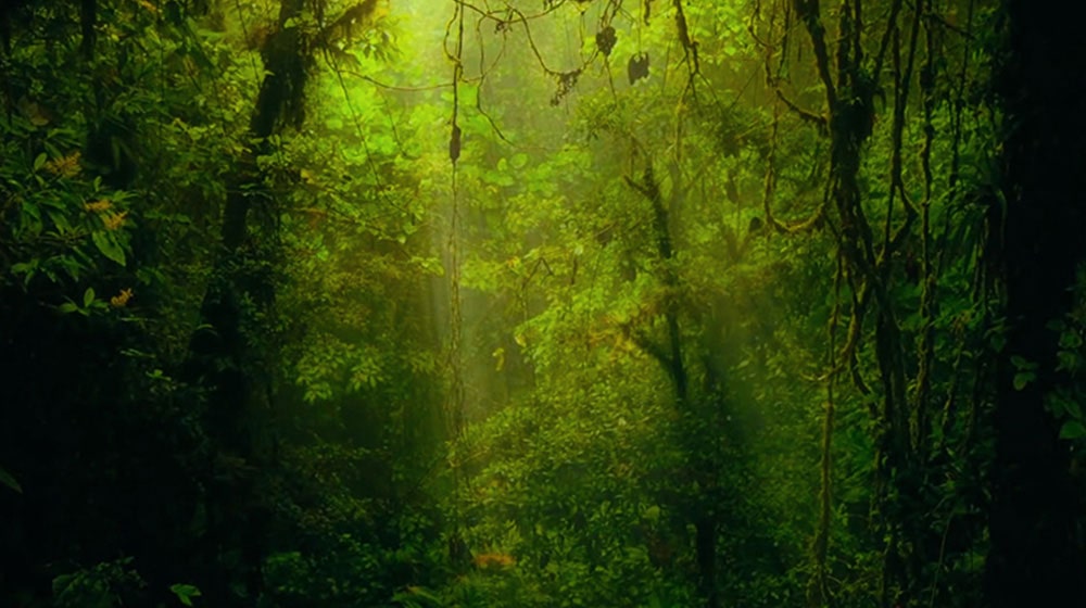 A_Dolby_Atmos_sub_mob_v55