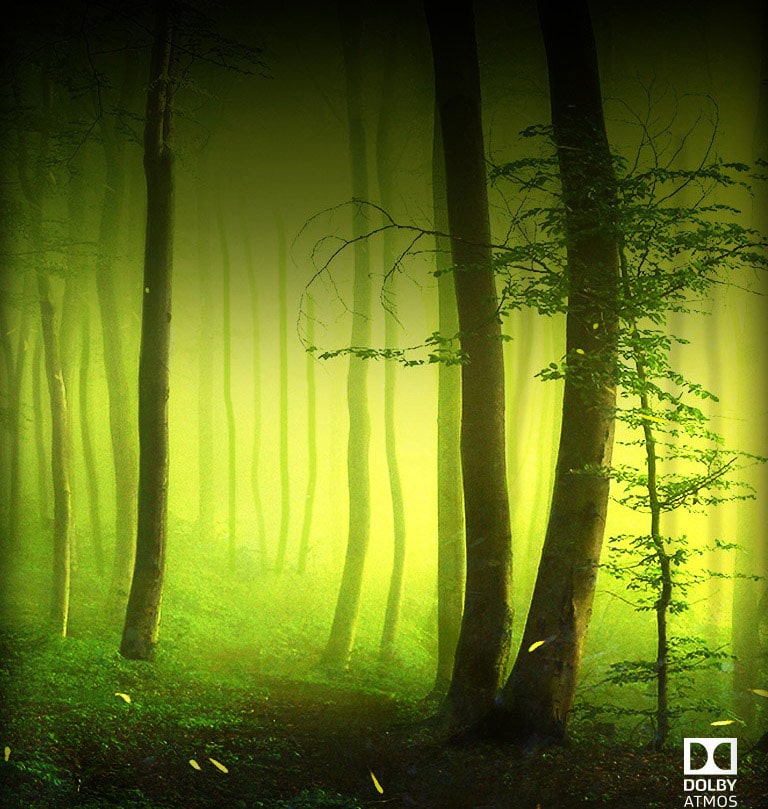 ®Dolby Atmos צליל קולנועי אצלכם בסלון<br>2