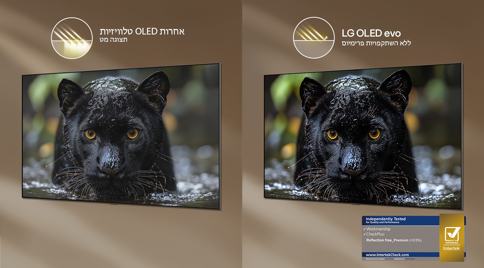 טלוויזיית טפט LG OLED evo AI W6 עם Reflection Free Premium מציגה השוואה זה לצד זה מול תצוגת מט עם ציפוי Anti-glare, ושומרת על תמונת היגואר השחור חדה עם שחורים עמוקים ומרקם עדין, במיוחד בסביבות מוארות, עם סימן ההסמכה של Intertek מוצג.
