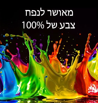 טלוויזיית LG QNED evo AI QNED85 Mini LED עם Dynamic QNED Color Pro ממלאת את המסך בהתפרצויות מלאות חיים ונוזליות של תנועה צבעונית, דמוית צבע, המציגה חיוניות צבע משופרת המאושרת ל-100% נפח צבע.