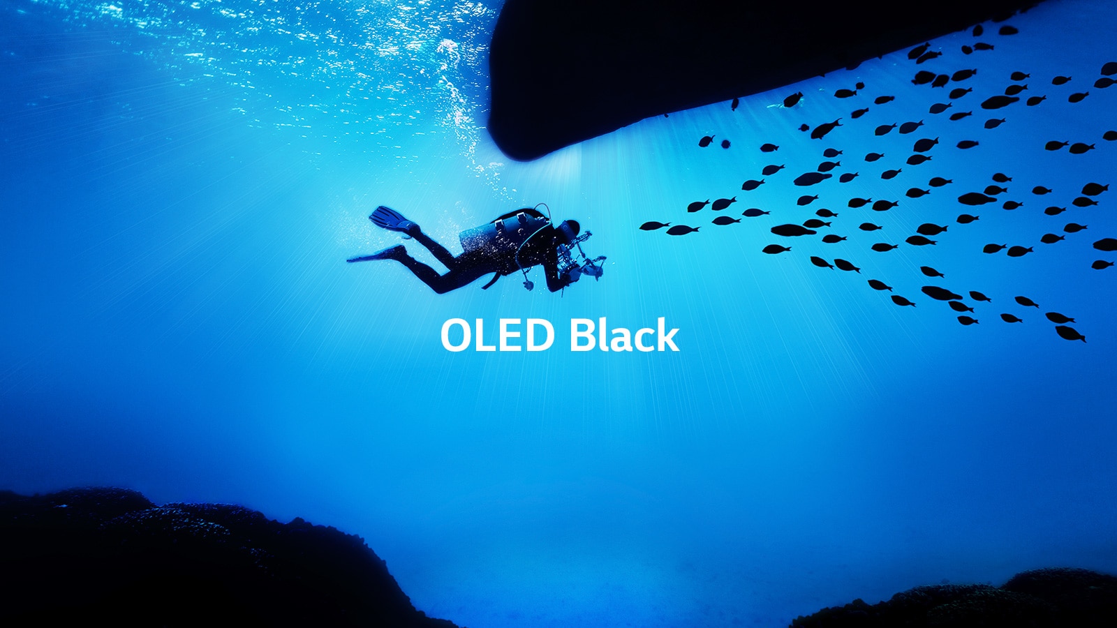 TV-OLED-E9-03-OLED-Display-Desktop
