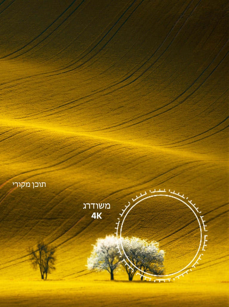 נוף של טבע, המשווה בין איכות התמונה של תוכן שאינו 4K ששודרג לרזולוציית 4K.