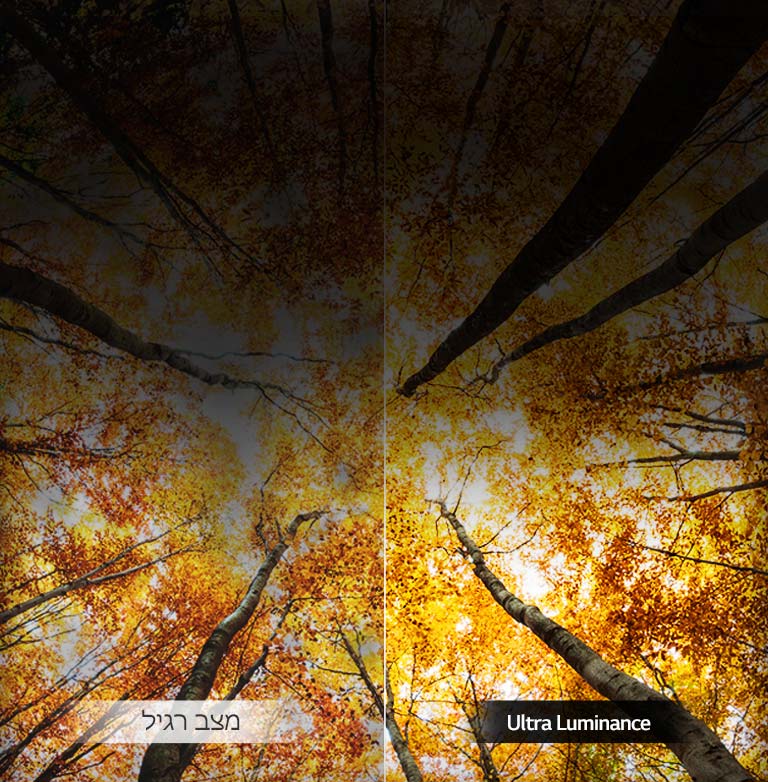 בהירות שיא משודרגת<br>2