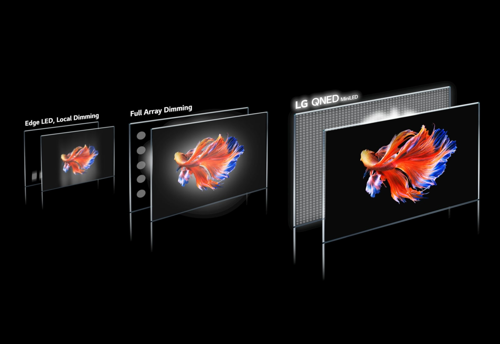תמונה של טכנולוגיית אזור עמעום ודג קרב סיאמי על רקע שחור בשלושה מסכים שונים. LG QNED Mini LED מציגה את התמונה הבהירה ביותר, עם פחות הילה ועם צבעים בהירים יותר (הפעילו את הסרטון).